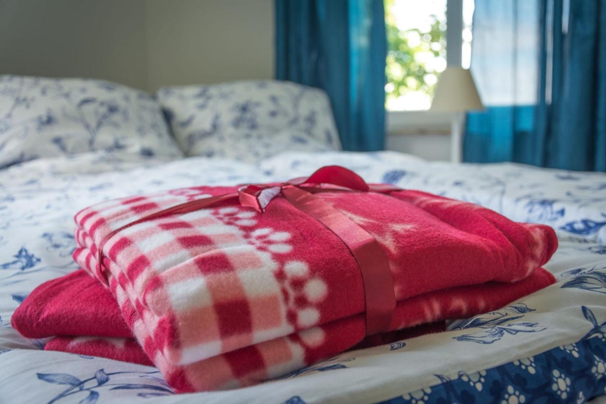 Ferienwohnung Fischersfru Фленсбург Екстериор снимка